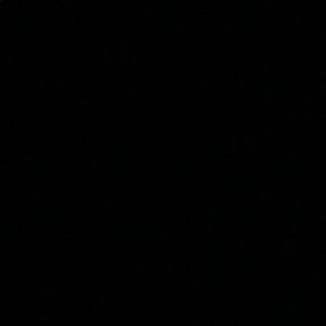 Meet your Posher, Ashlee